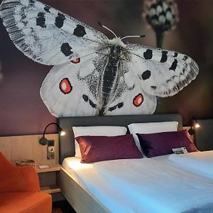 Kamer met een King Size Bed